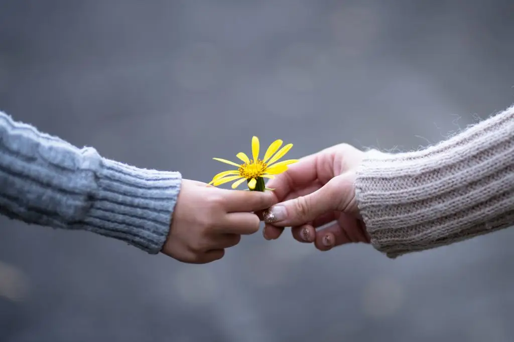 handing flower to another